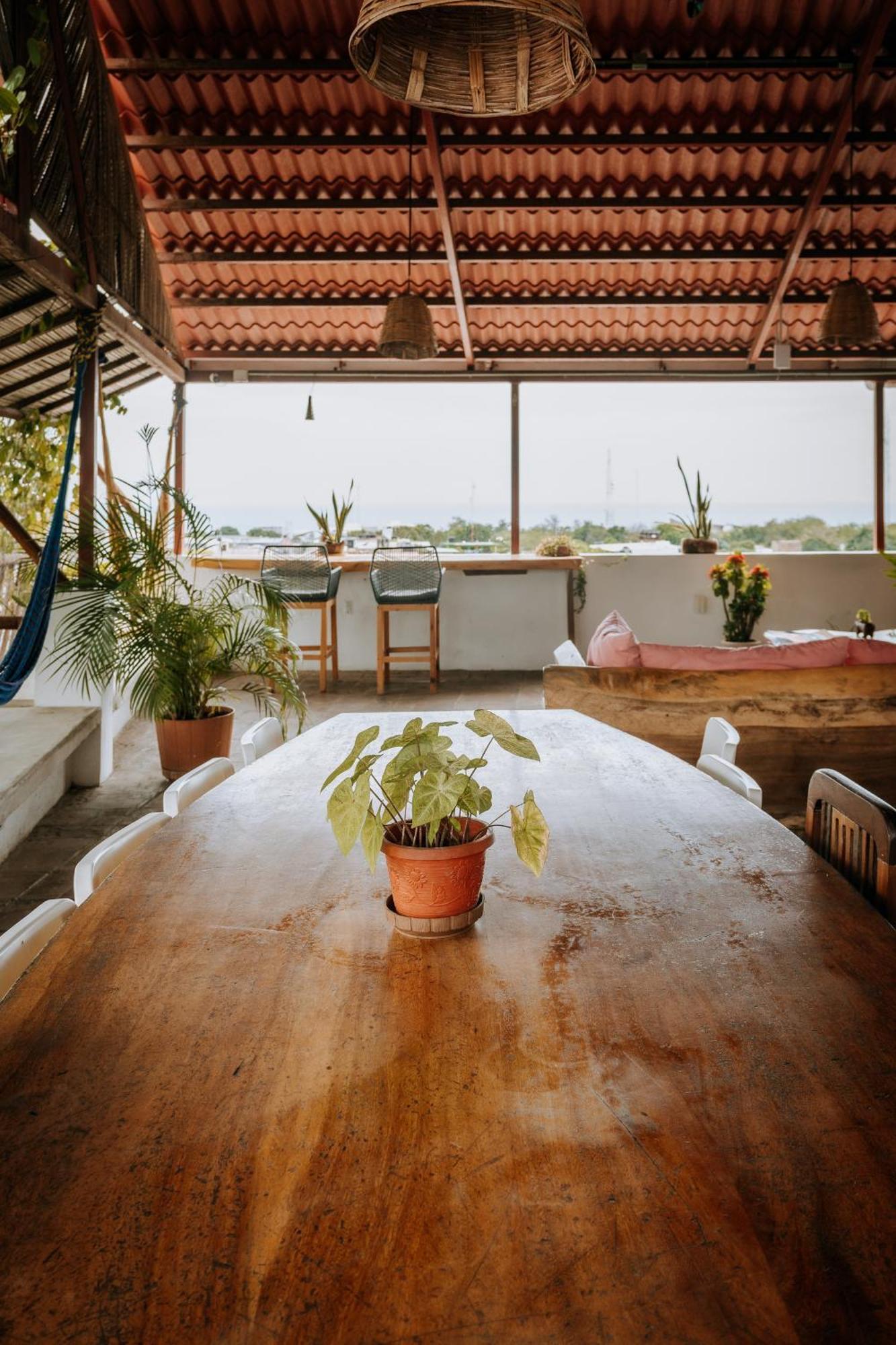 Terraza Puerto Hostel Puerto Escondido  Exteriör bild